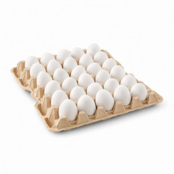 Carton de Huevos (30 u)